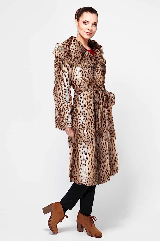 Камышовый кот - демократичный родственник рыси Камышовый кот - демократичный родственник рыси